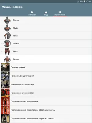 Мышцы человека android App screenshot 1